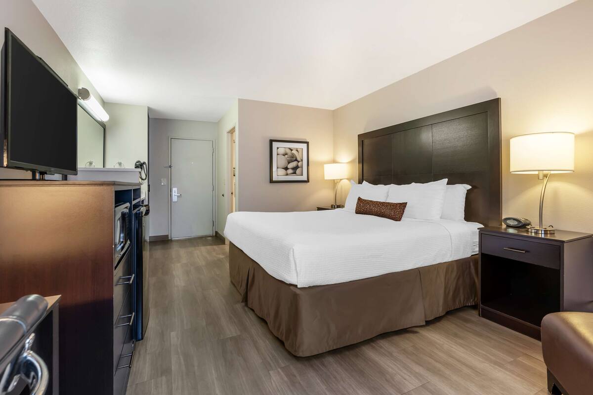 A hotel room with a large bed, a TV, a desk with a lamp, and a picture on the wall.