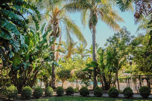 Garden view