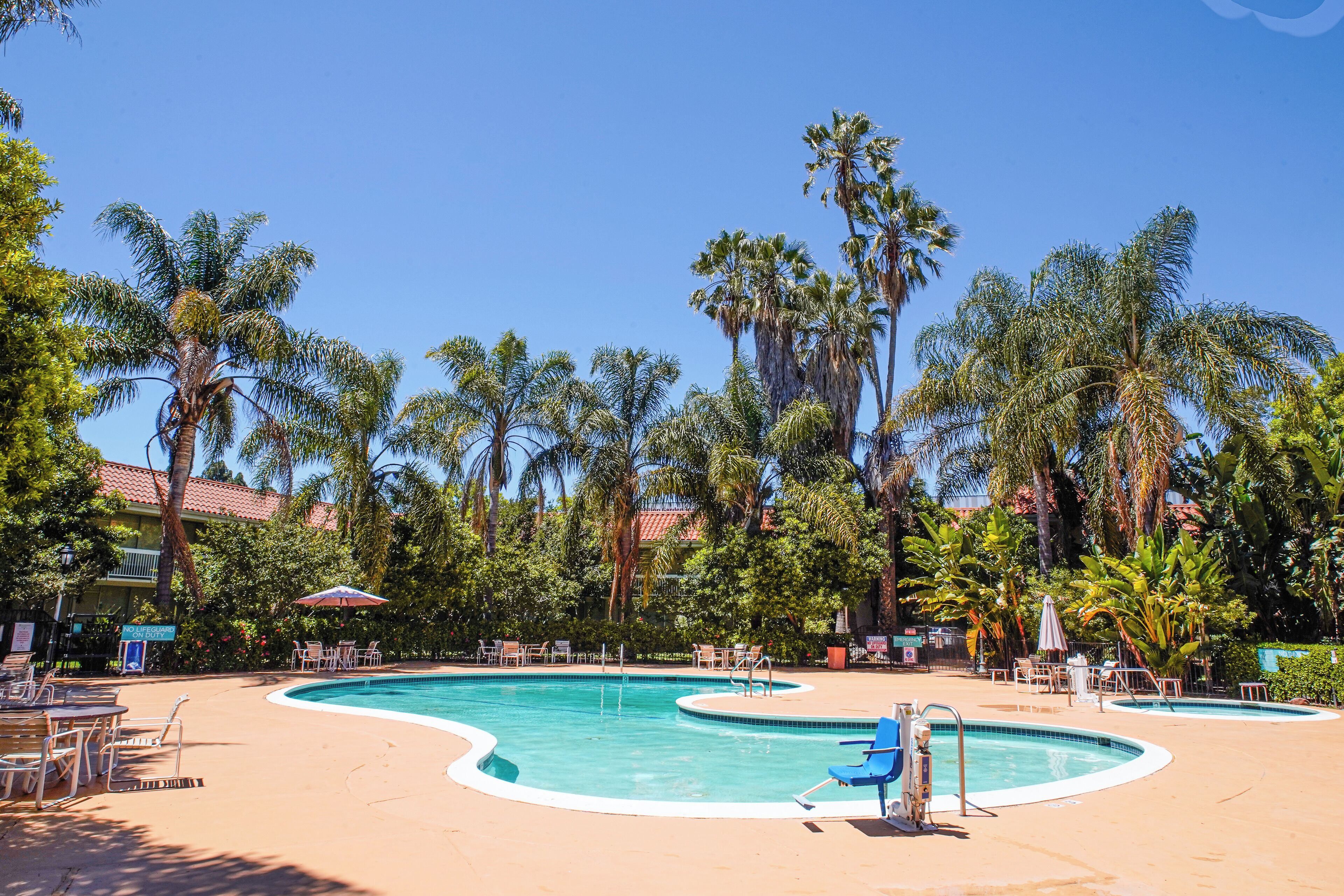 A pool area with lounge chairs and umbrellas, surrounded by palm trees.