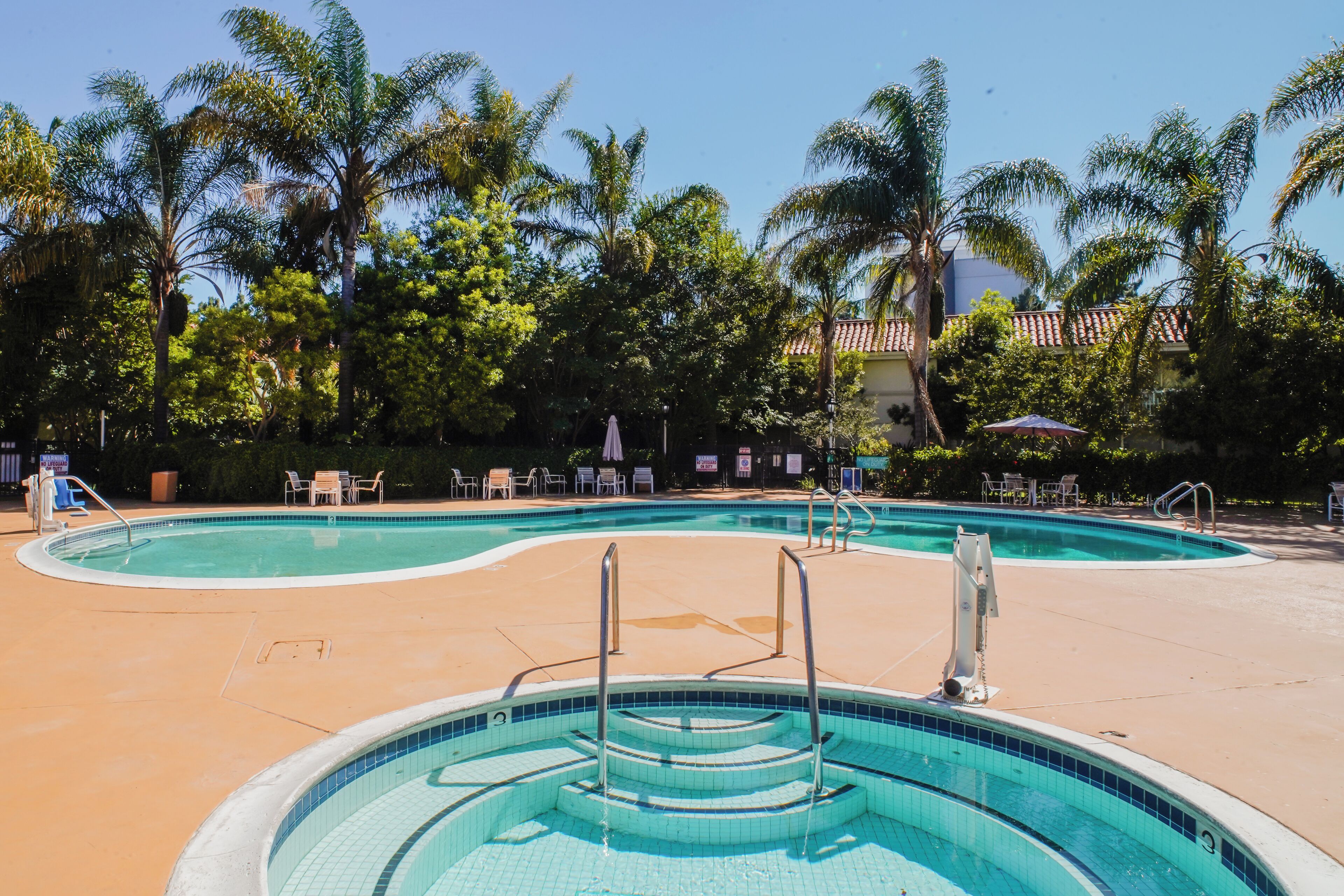 A swimming pool with steps leading into it, surrounded by palm trees and lounge chairs.