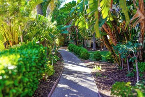 Garden view