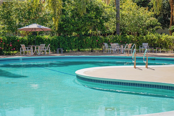 Outdoor pool, sun loungers