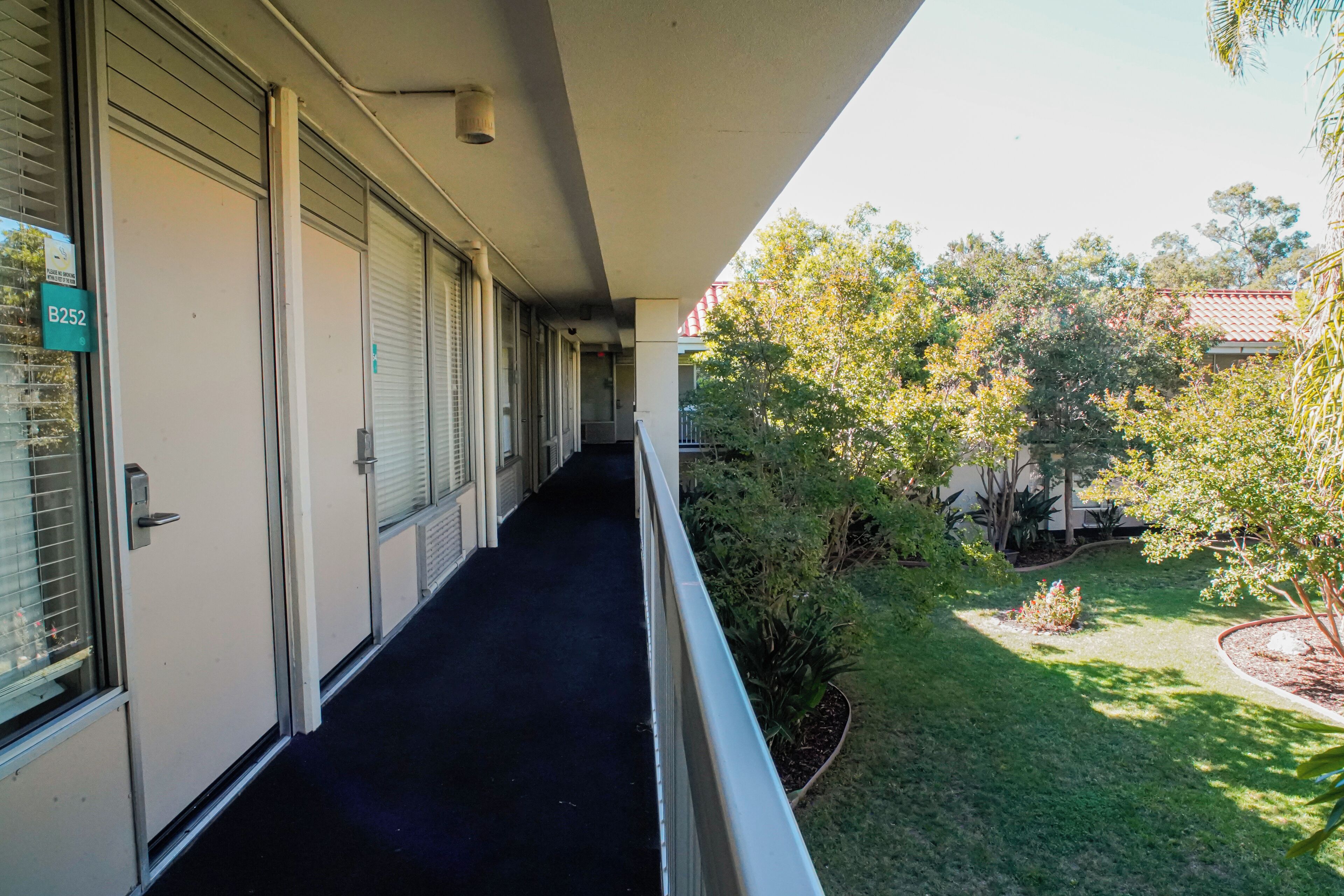 A corridor with closed doors, a black floor, and a view of a garden with trees and shrubs.