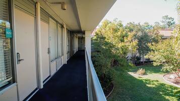 A corridor with closed doors, a black floor, and a view of a garden with trees and shrubs.
