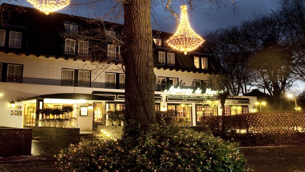 A building with a large tree in front, illuminated by hanging lights.