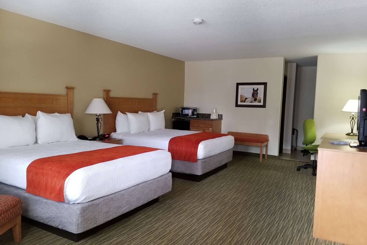 A hotel room with two beds, a desk, a chair, a TV, and a picture on the wall.