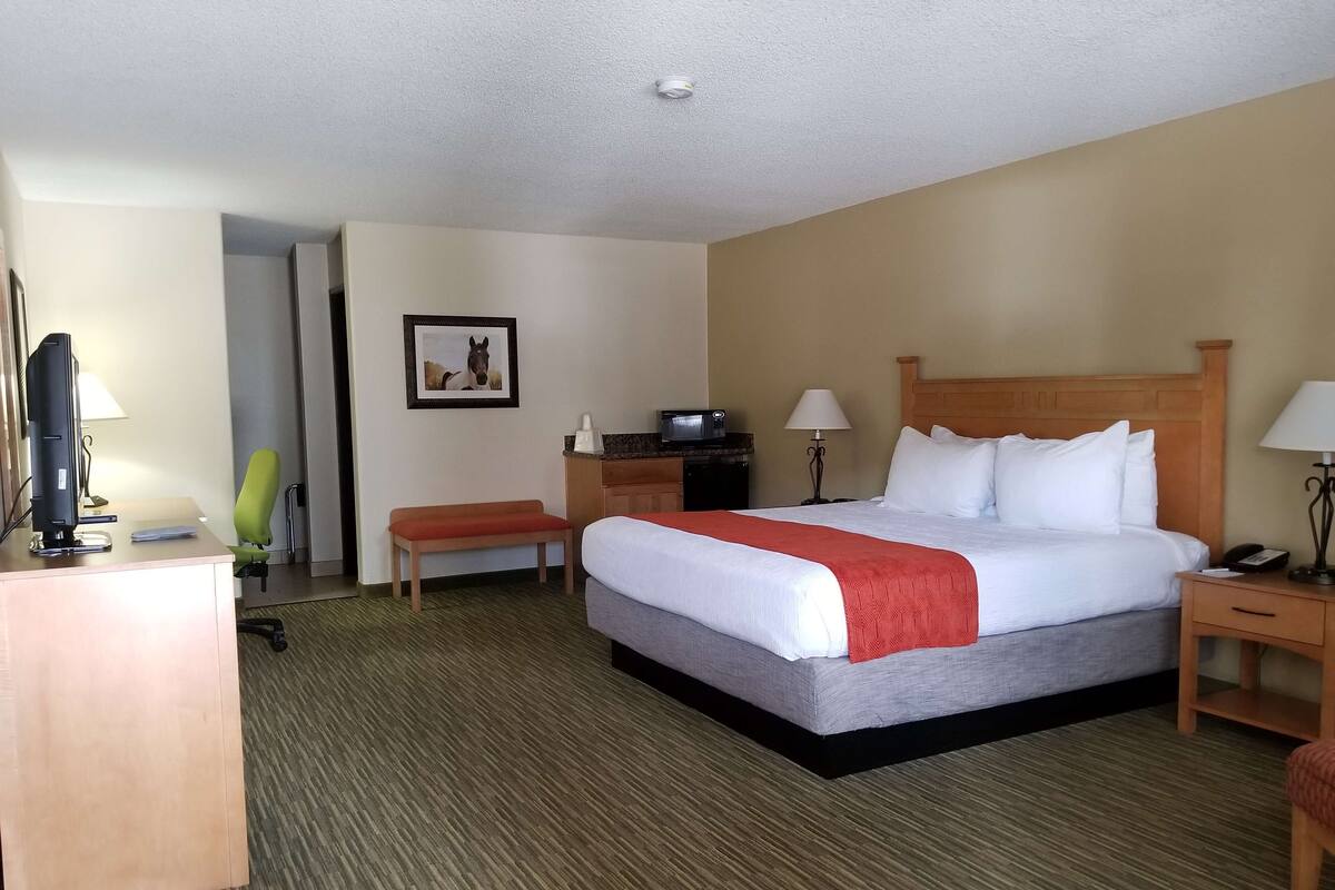 A hotel room with a bed, desk, chair, and a small table with a lamp.