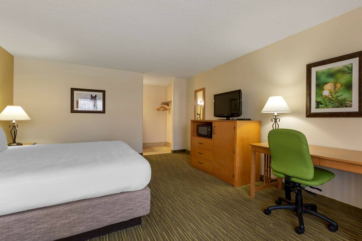 A hotel room with a bed, a desk with a computer, a TV, a chair, a lamp, and a framed picture on the wall.