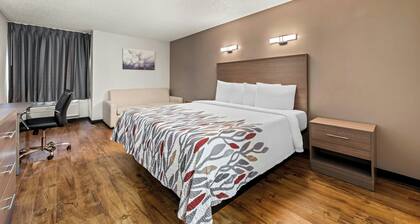 Red Roof Inn Charlotte - University