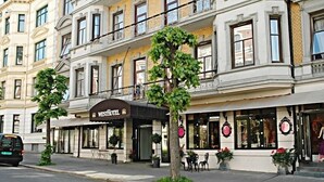 Uklassifisert bilde, 3 av 14, knapp
