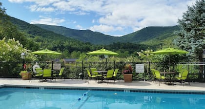 Holiday Inn Asheville East-Blue Ridge PKWY by IHG