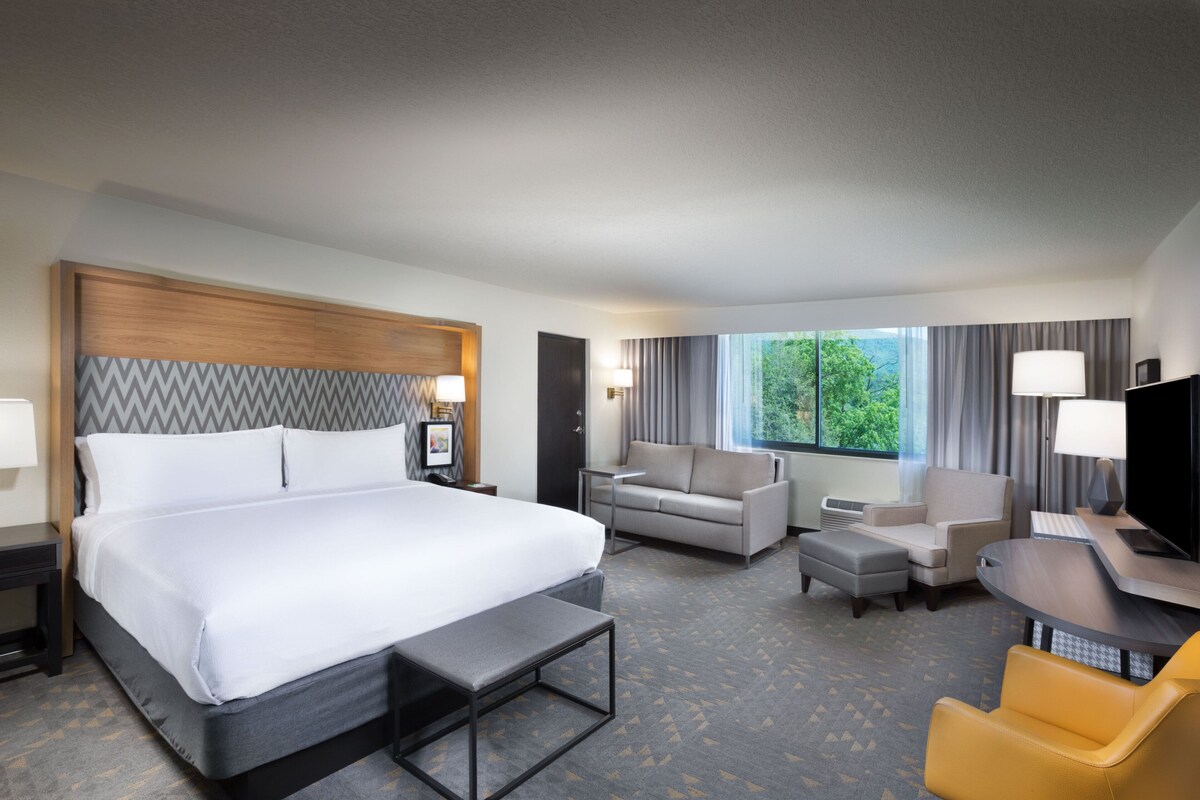 Ein Hotelzimmer mit einem großen Bett, einer Couch, einem Schreibtisch mit Stuhl, einem Fernseher und einem Fenster mit Vorhängen.