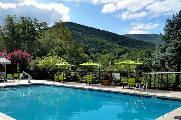 Seasonal outdoor pool, pool umbrellas, sun loungers