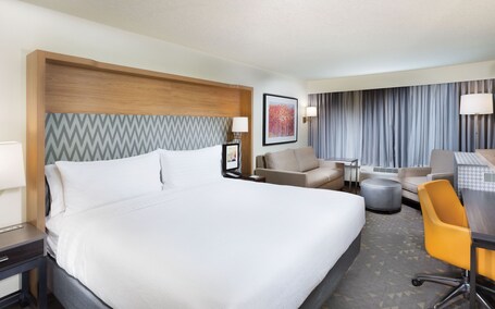 Holiday Inn Asheville East Blue Ridge PKWY, an IHG Hotel - Image 37