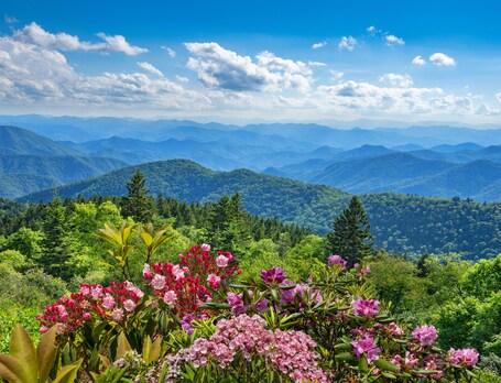 Holiday Inn Asheville East Blue Ridge PKWY, an IHG Hotel - Image 2