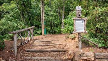 A wooden staircase leading into a forested area with a wooden signpost at the top.
