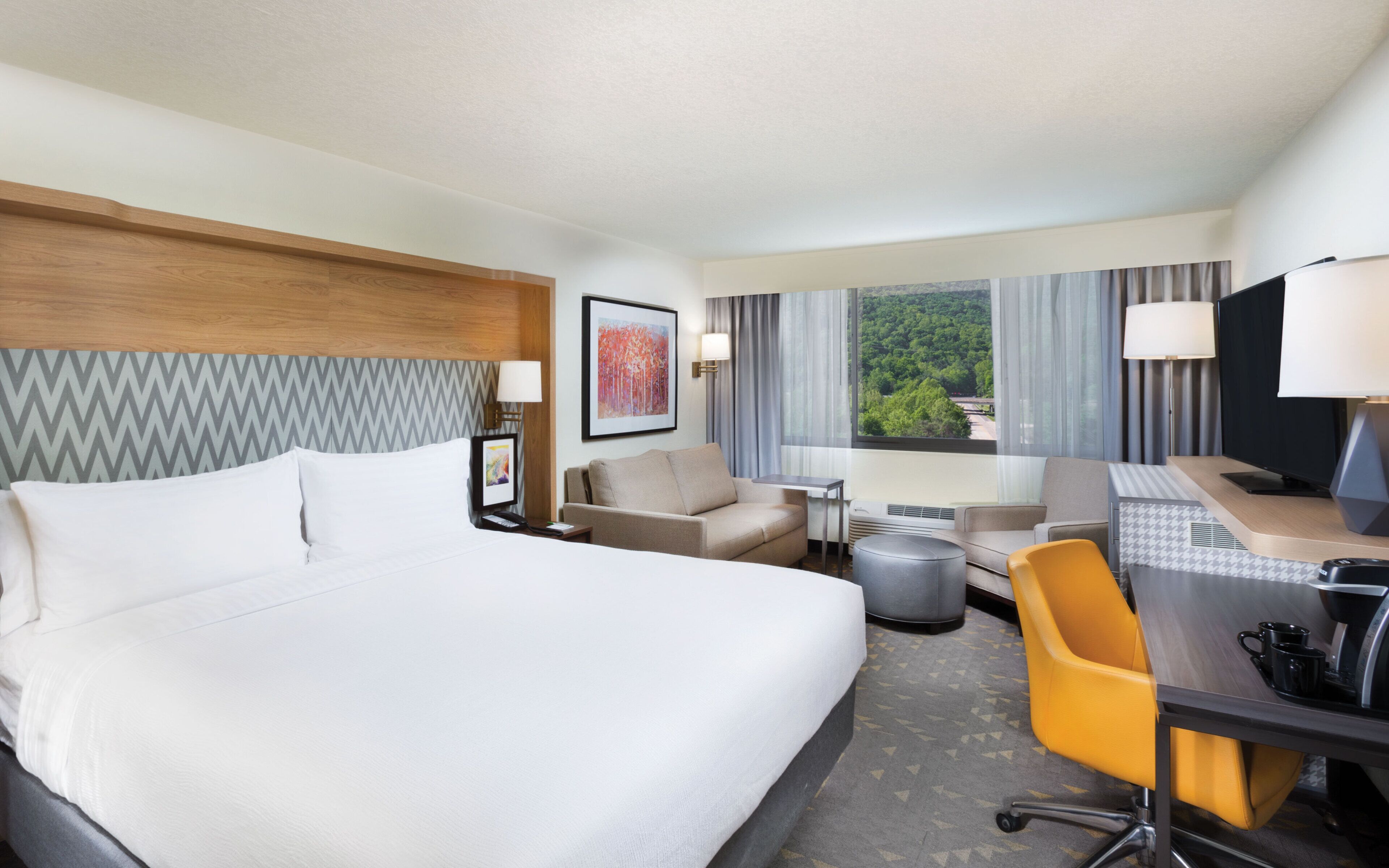 A hotel room with a large bed, a desk with a chair, a television, and a view of the outdoors.