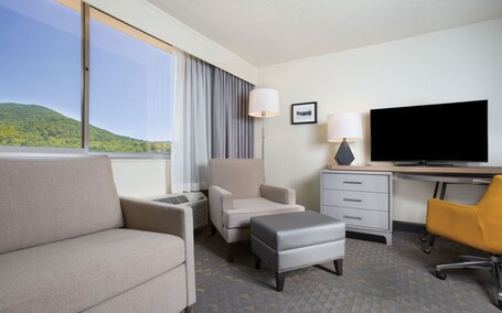 Holiday Inn Asheville East Blue Ridge PKWY, an IHG Hotel - Image 7