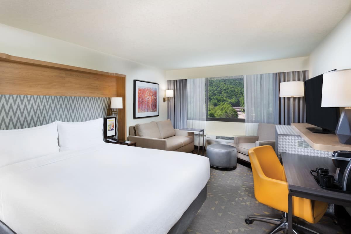 Une chambre d’hôtel avec un grand lit, un bureau avec une chaise, une télévision et une fenêtre donnant sur des arbres.