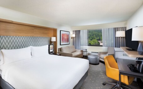 Holiday Inn Asheville East Blue Ridge PKWY, an IHG Hotel - Image 15