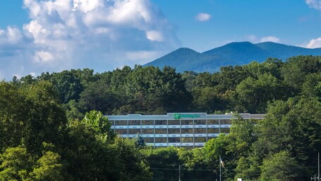 Holiday Inn Asheville East Blue Ridge PKWY, an IHG Hotel - Image 16