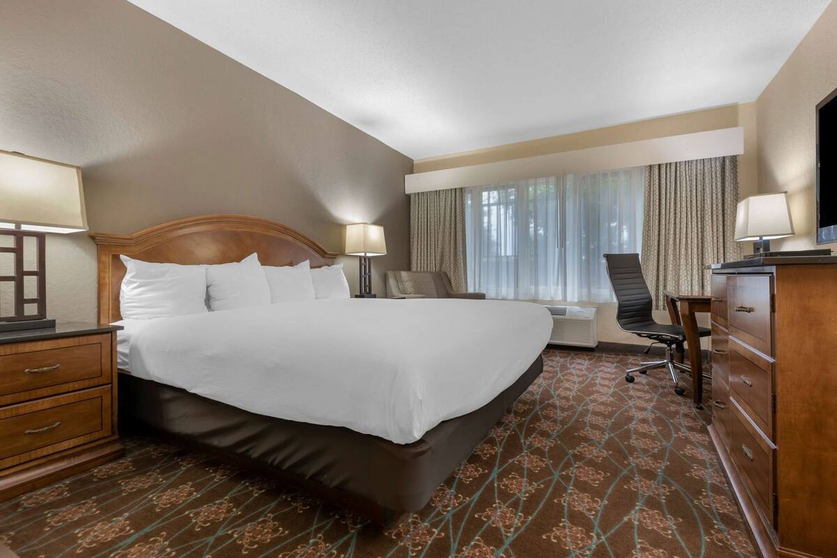 A hotel room with a large bed, a desk, a chair, a TV, and a window with curtains.