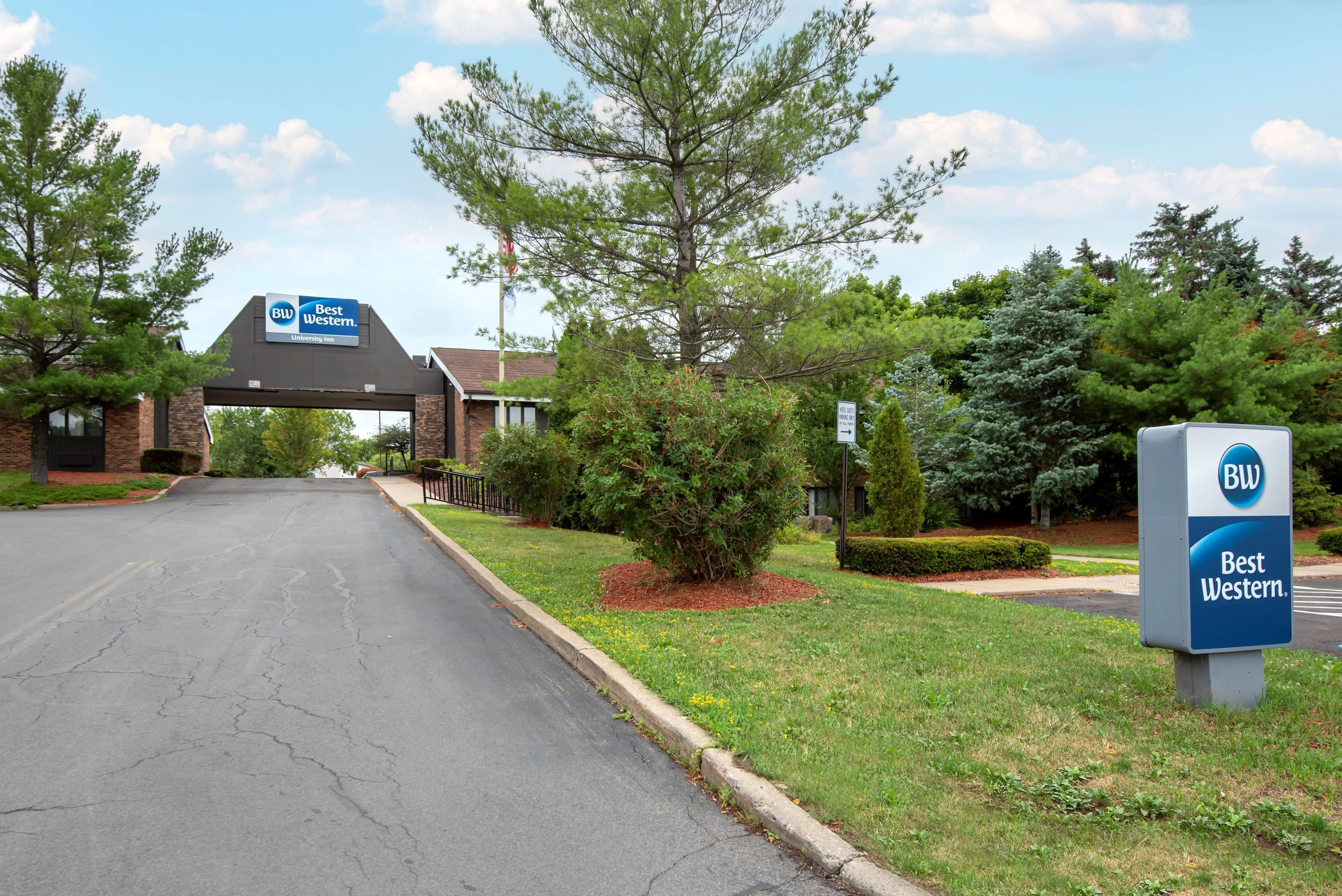 A Best Western hotel entrance with a brick building, a large tree, and a clear sky.