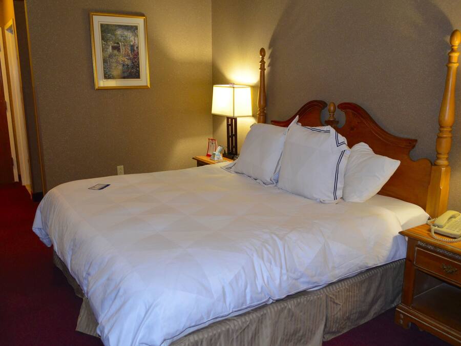 A hotel room with a neatly made bed, a bedside lamp, a nightstand with a phone, and a framed picture on the wall.