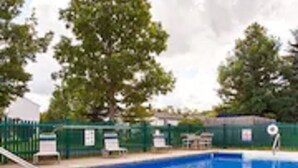 A rectangular swimming pool with a ladder on one side, surrounded by a green fence and trees.