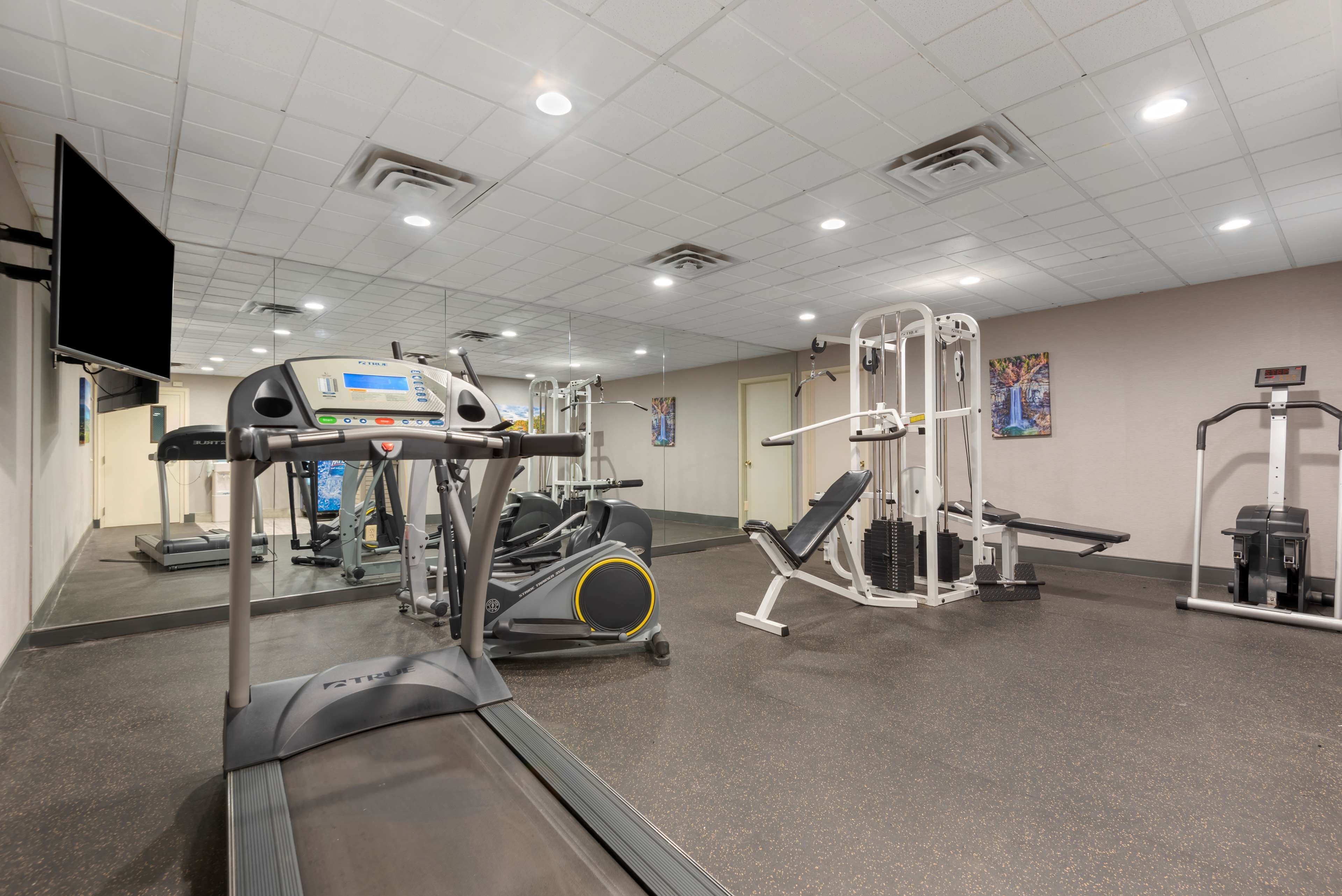 A gym with treadmills, weight machines, and a mirrored wall.