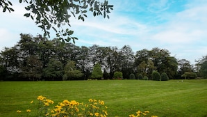 A grassy field with yellow flowers in the foreground and a variety of trees in the background. - The Ripon Inn - The Inn Collection Group (Ripon)