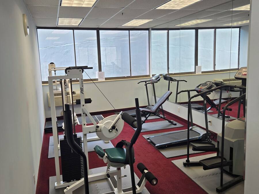A gym with various exercise equipment, large windows, and a red carpet.
