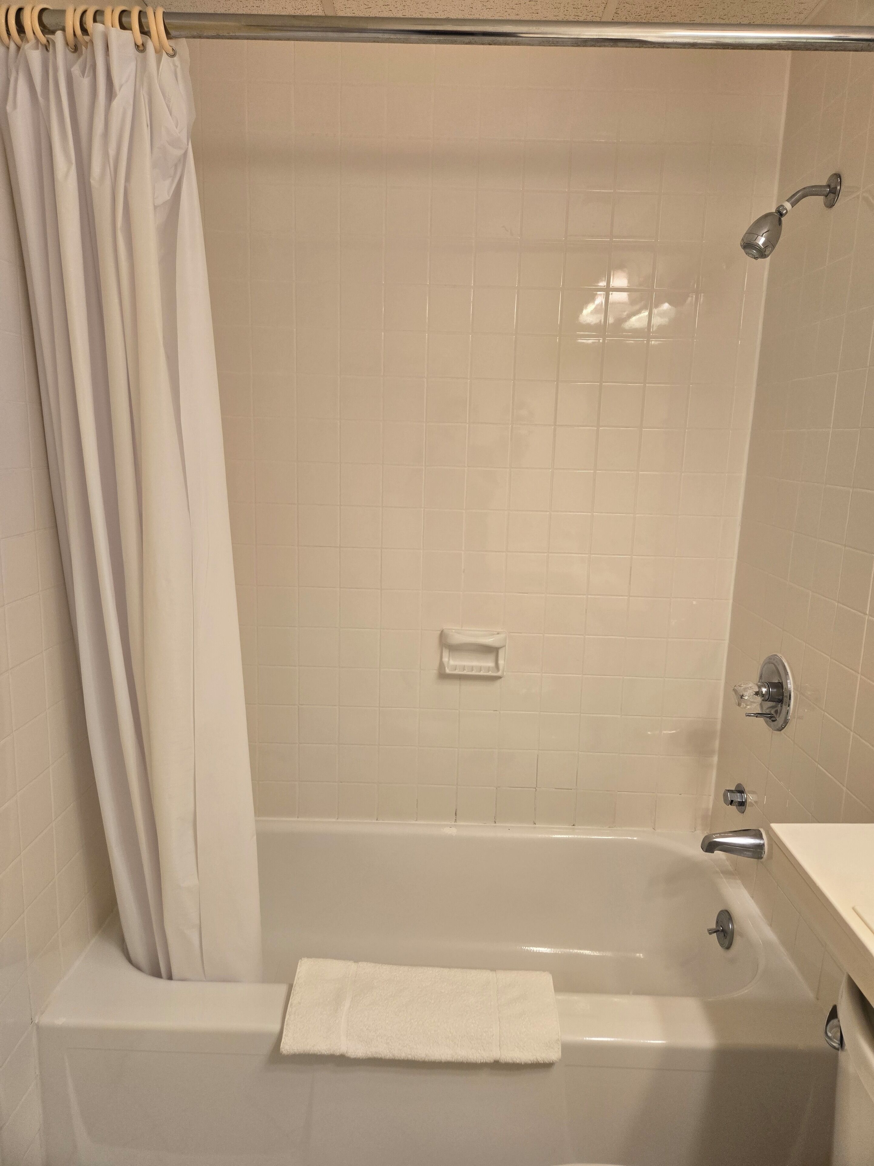combined shower/bathtub, free toiletries, hair dryer, towels