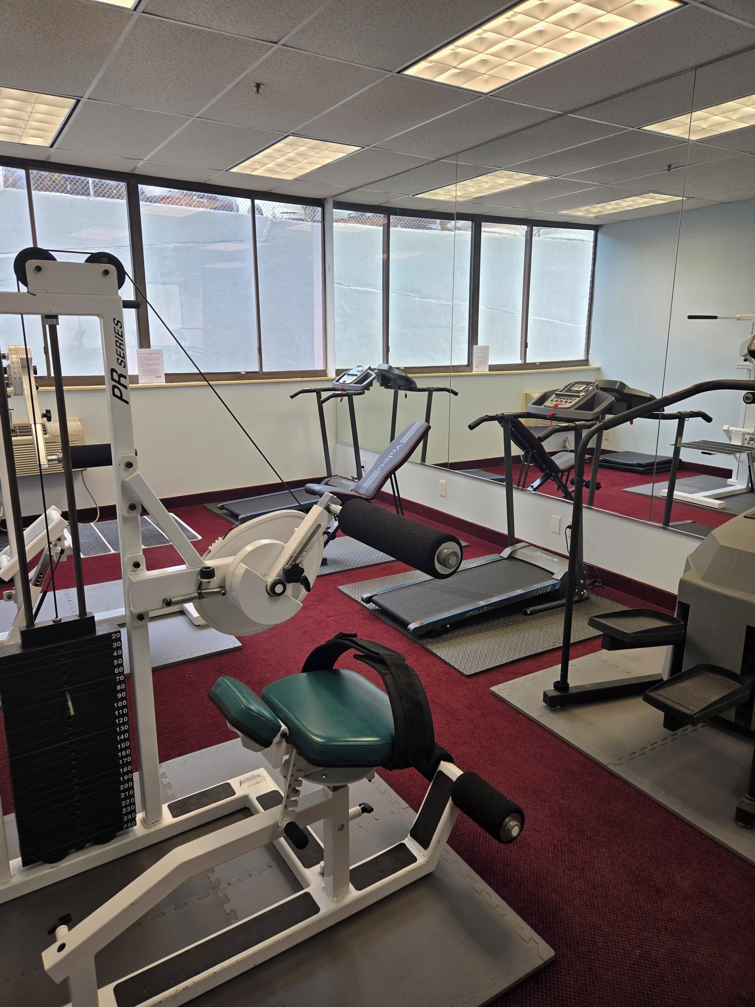 A gym with various exercise equipment, large windows, and a red carpet.