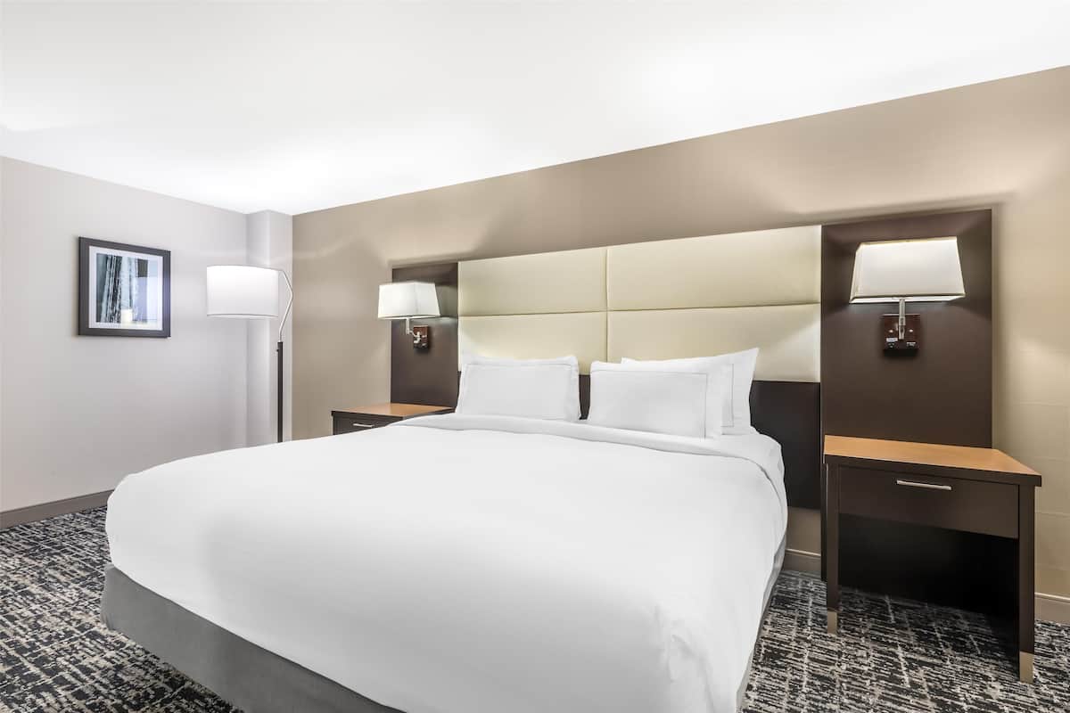 A hotel room with a large bed, two bedside tables with lamps, a framed picture on the wall, and a carpeted floor.