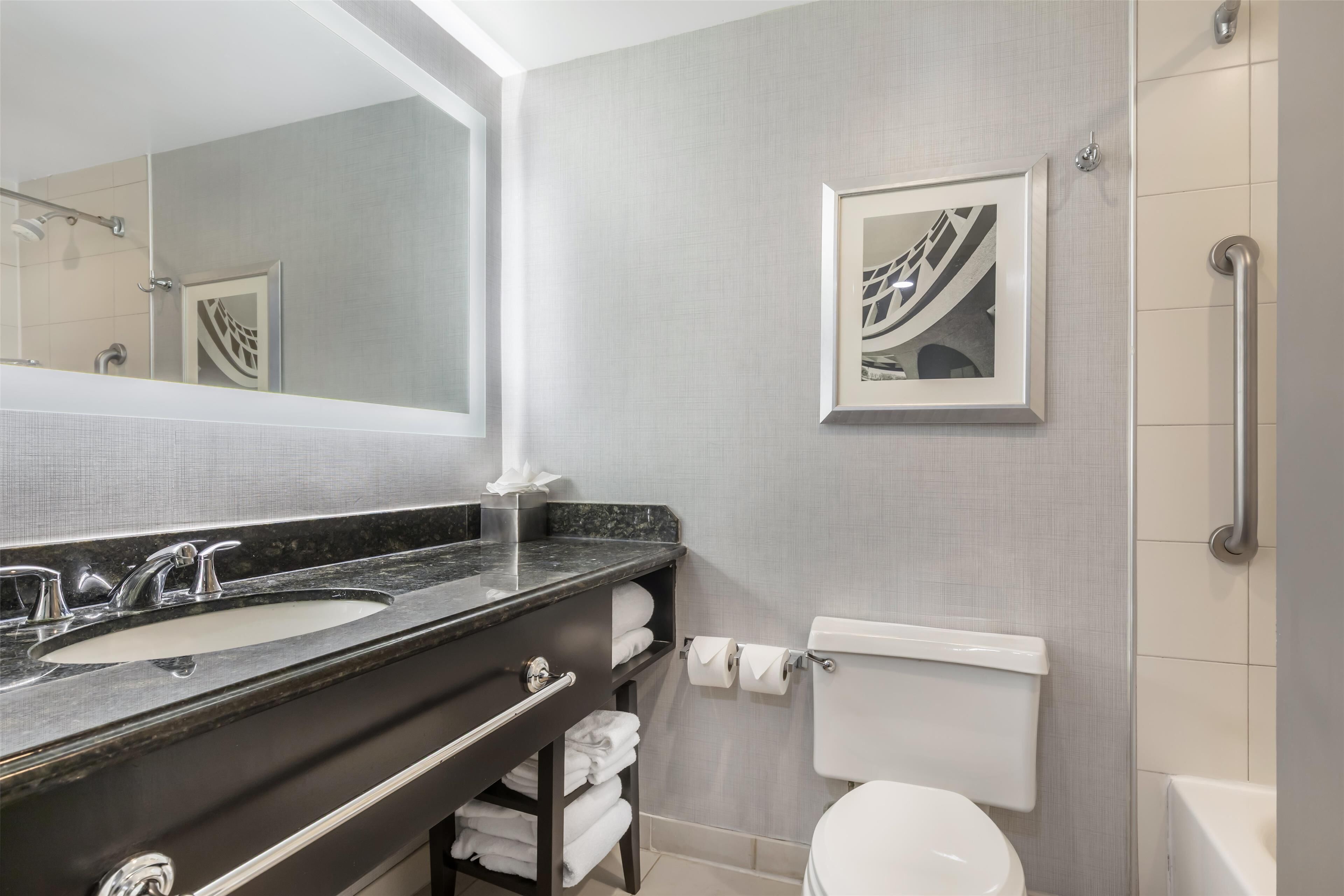 A modern bathroom with a dual sink vanity, a toilet, and a shower.