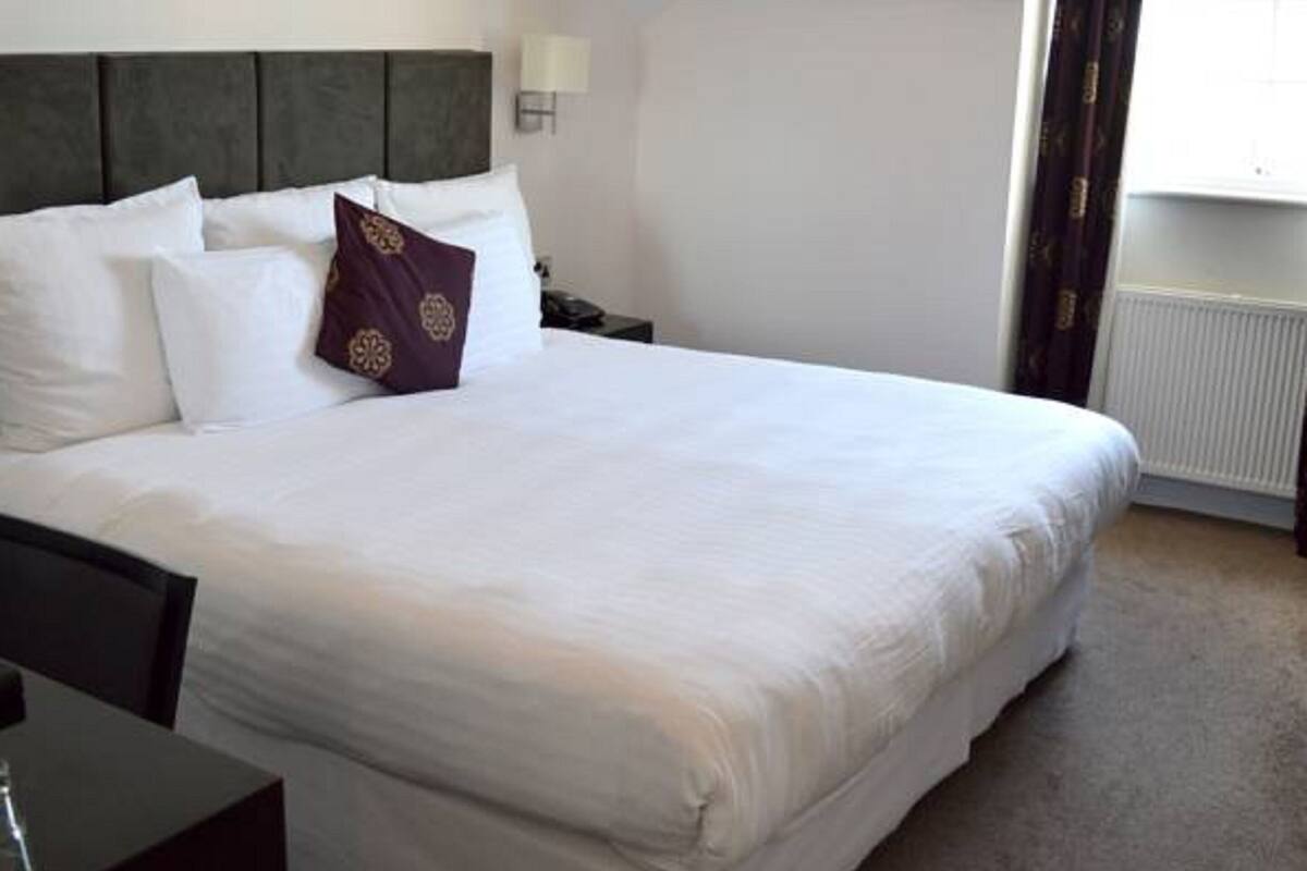A neatly made bed with white and purple pillows, a dark headboard, and a bedside table with a lamp.