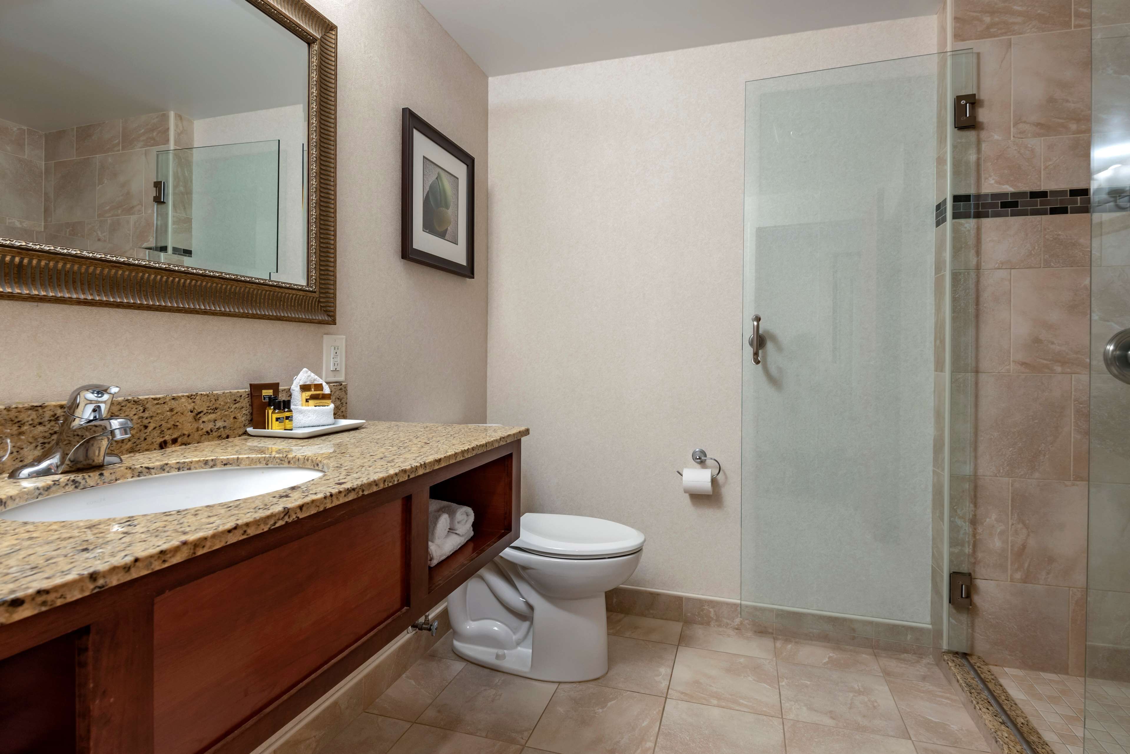 Une salle de bain avec un lavabo surmonté d’un plan de travail en granit, des toilettes blanches, un miroir encadré et une cabine de douche en verre.