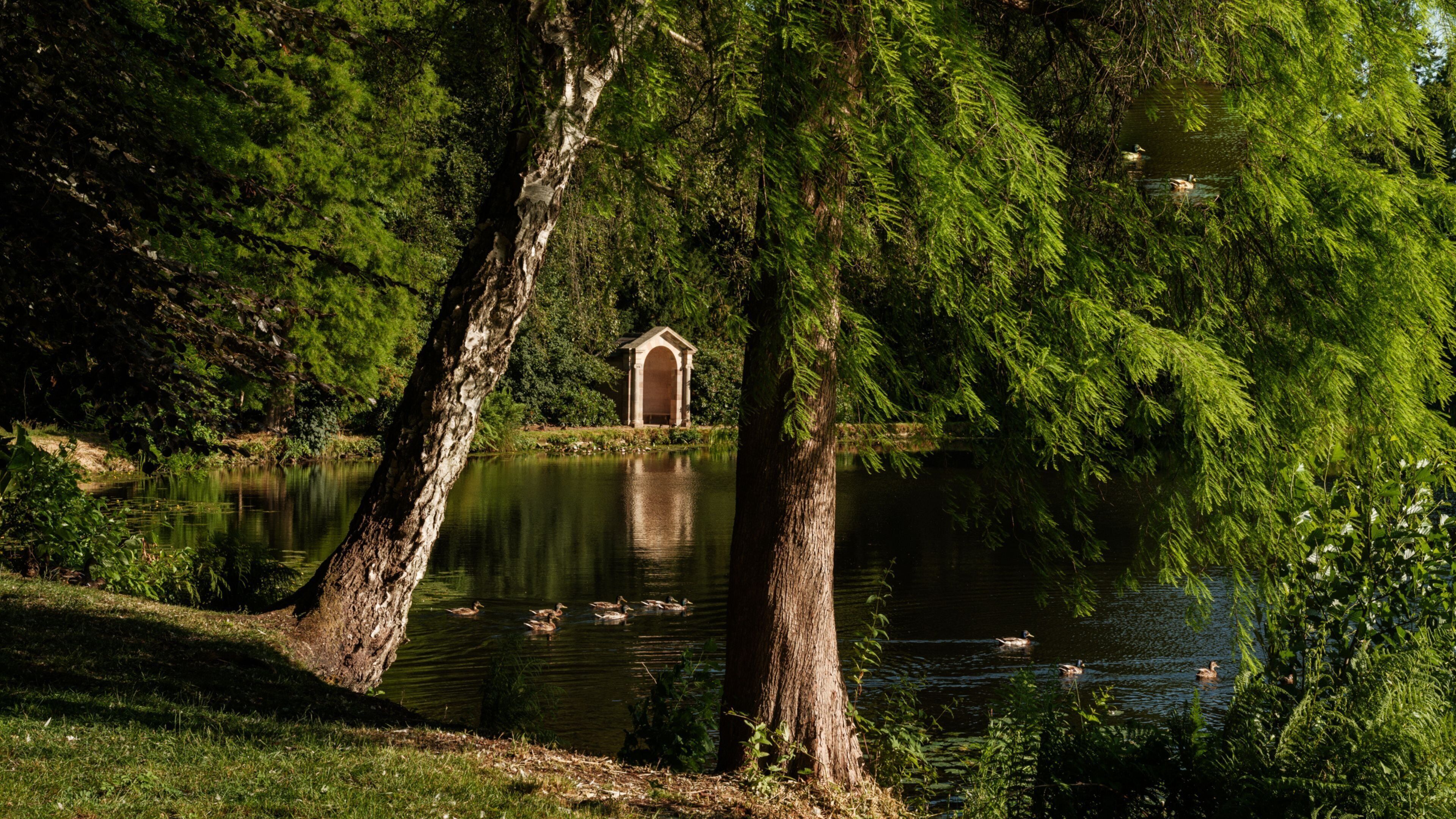 A tranquil pond with ducks, surrounded by lush greenery and a small structure with an arched entrance.