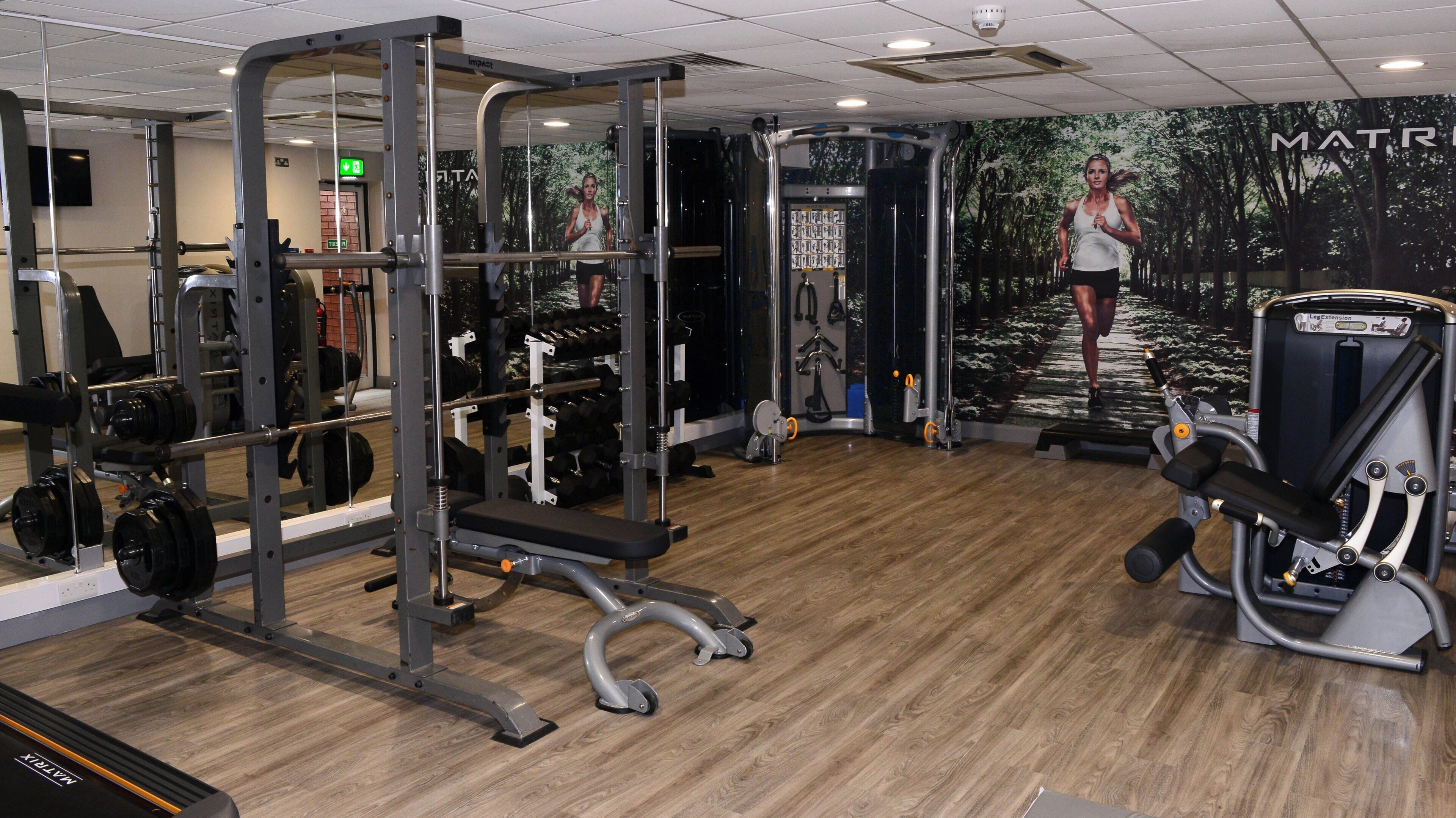 A gym with various exercise equipment, including a squat rack, dumbbells, and a treadmill.