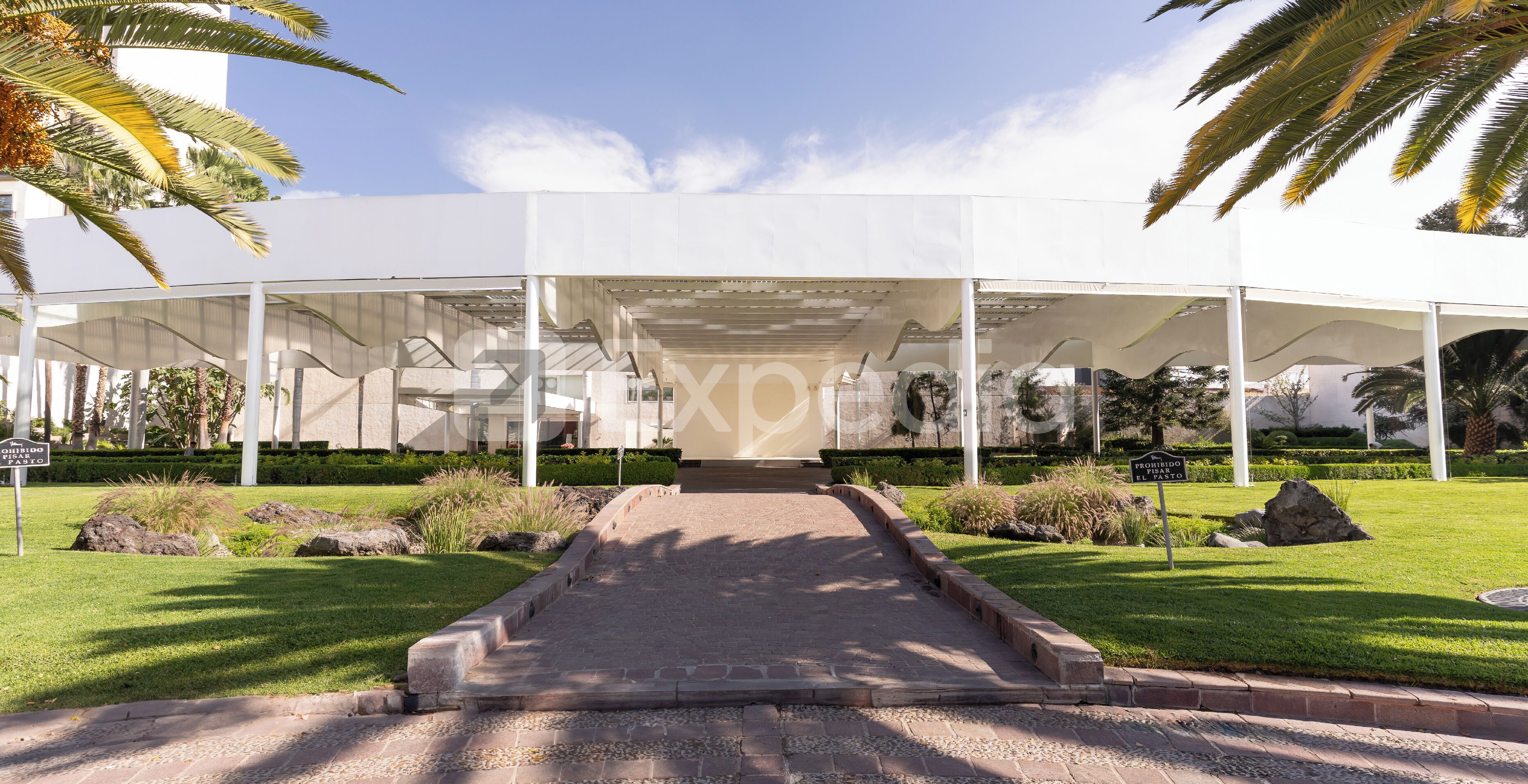 A covered walkway leading to a modern building with a white facade and palm trees in the background.