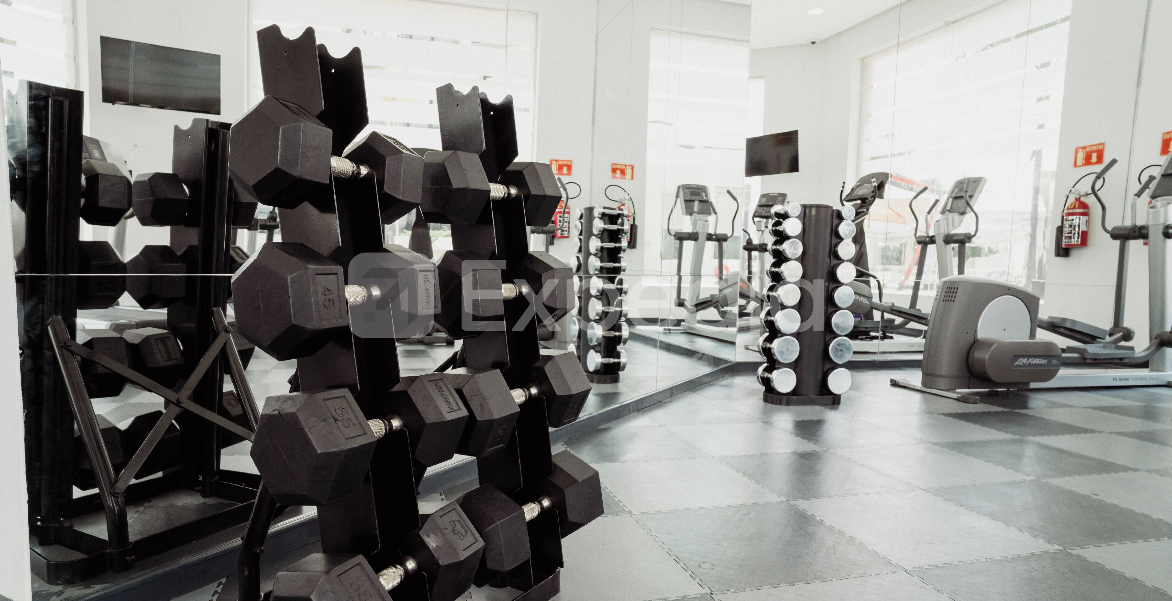 Gimnasio