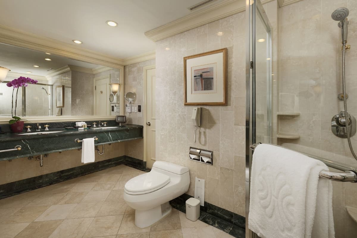 separate bathtub and shower, rainfall showerhead, free toiletries