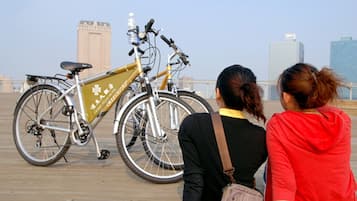 A bicycle with a gold and black design parked on a wooden boardwalk.