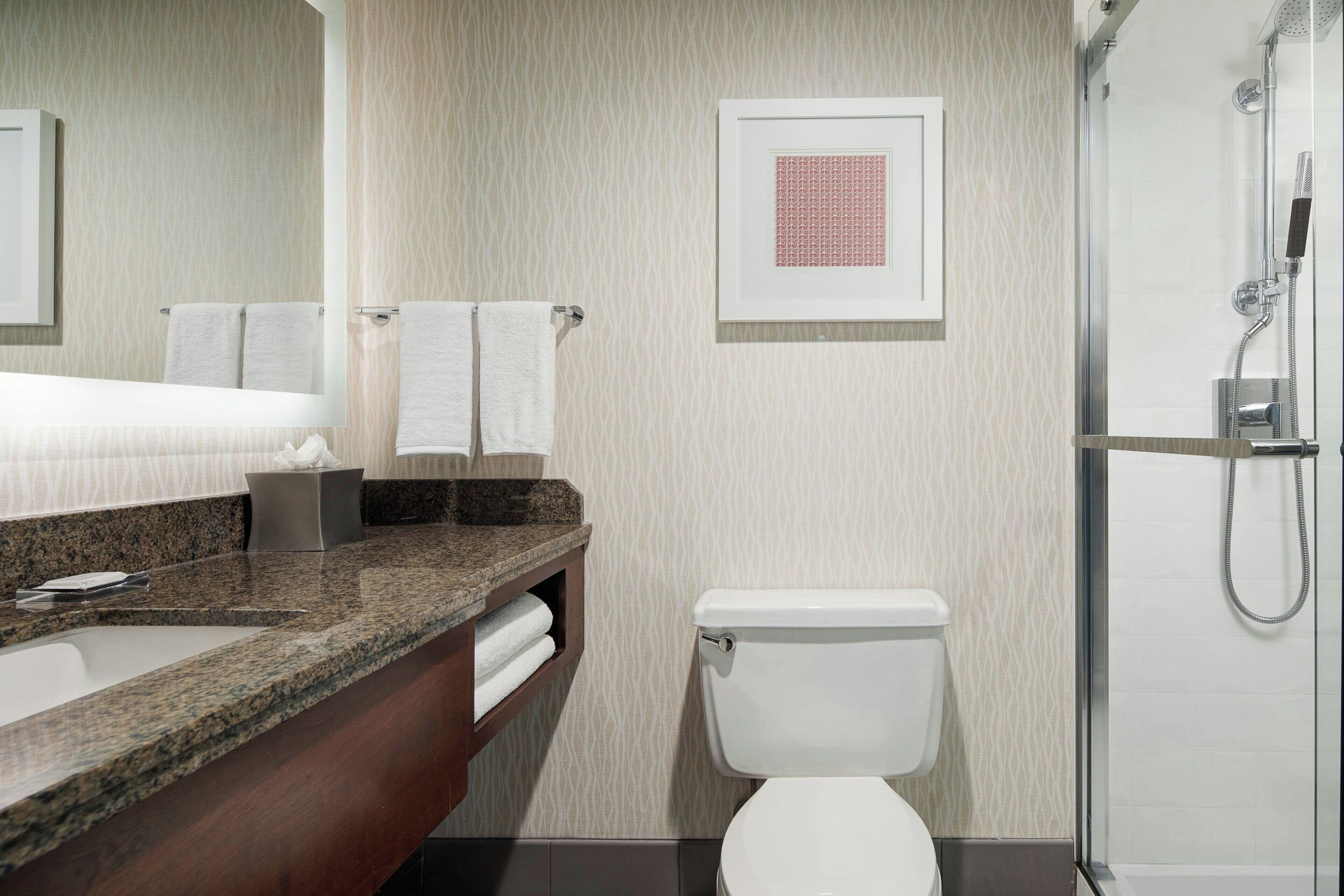 A modern bathroom with a granite countertop, a white toilet, a shower enclosure, and a framed picture on the wall.