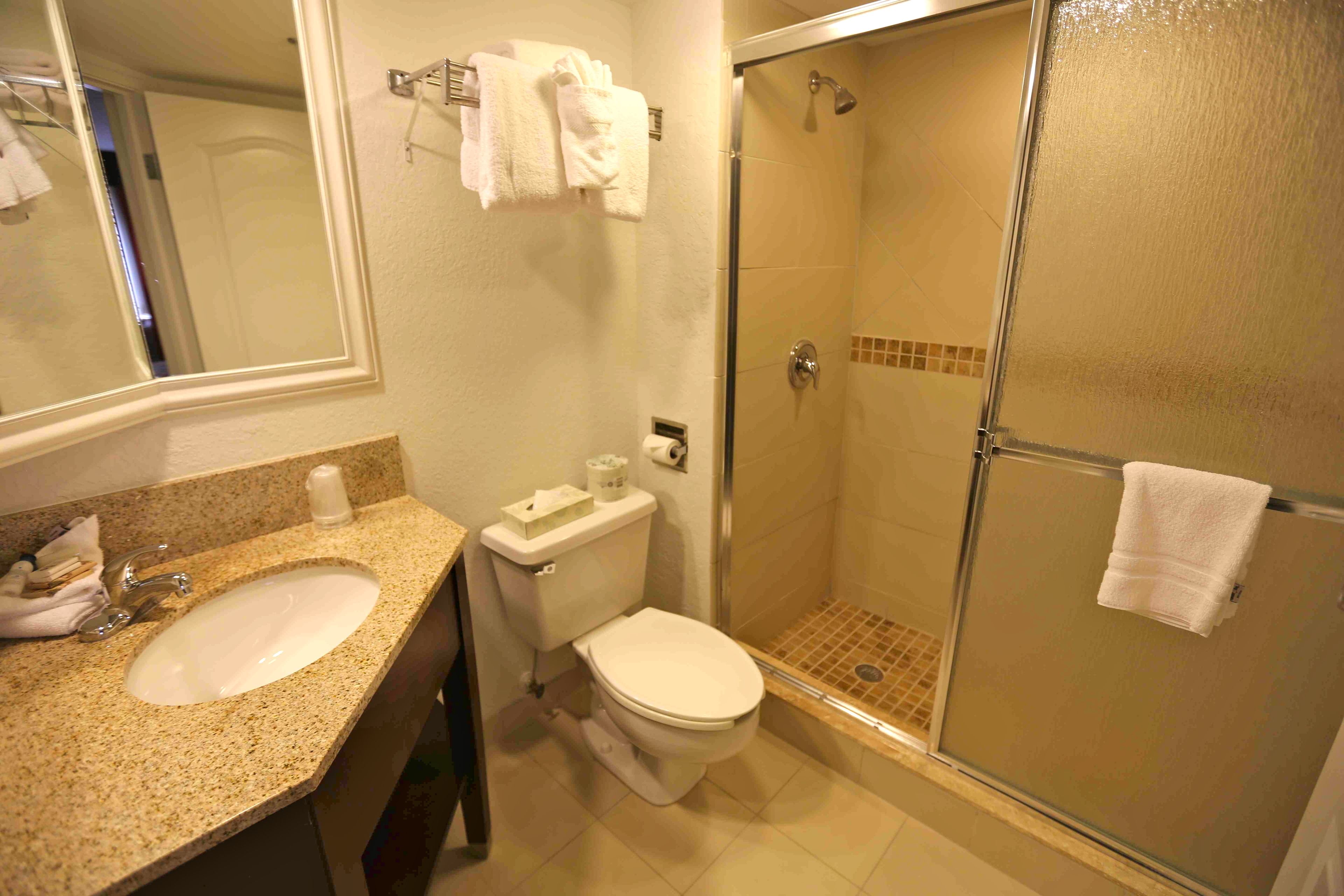 Un baño con lavamanos, inodoro y ducha envuelta en vidrio.