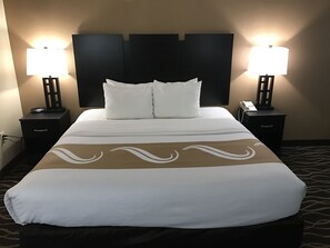 Desk, blackout drapes, iron/ironing board, free WiFi - Quality Inn Schenectady - Albany (Schenectady)