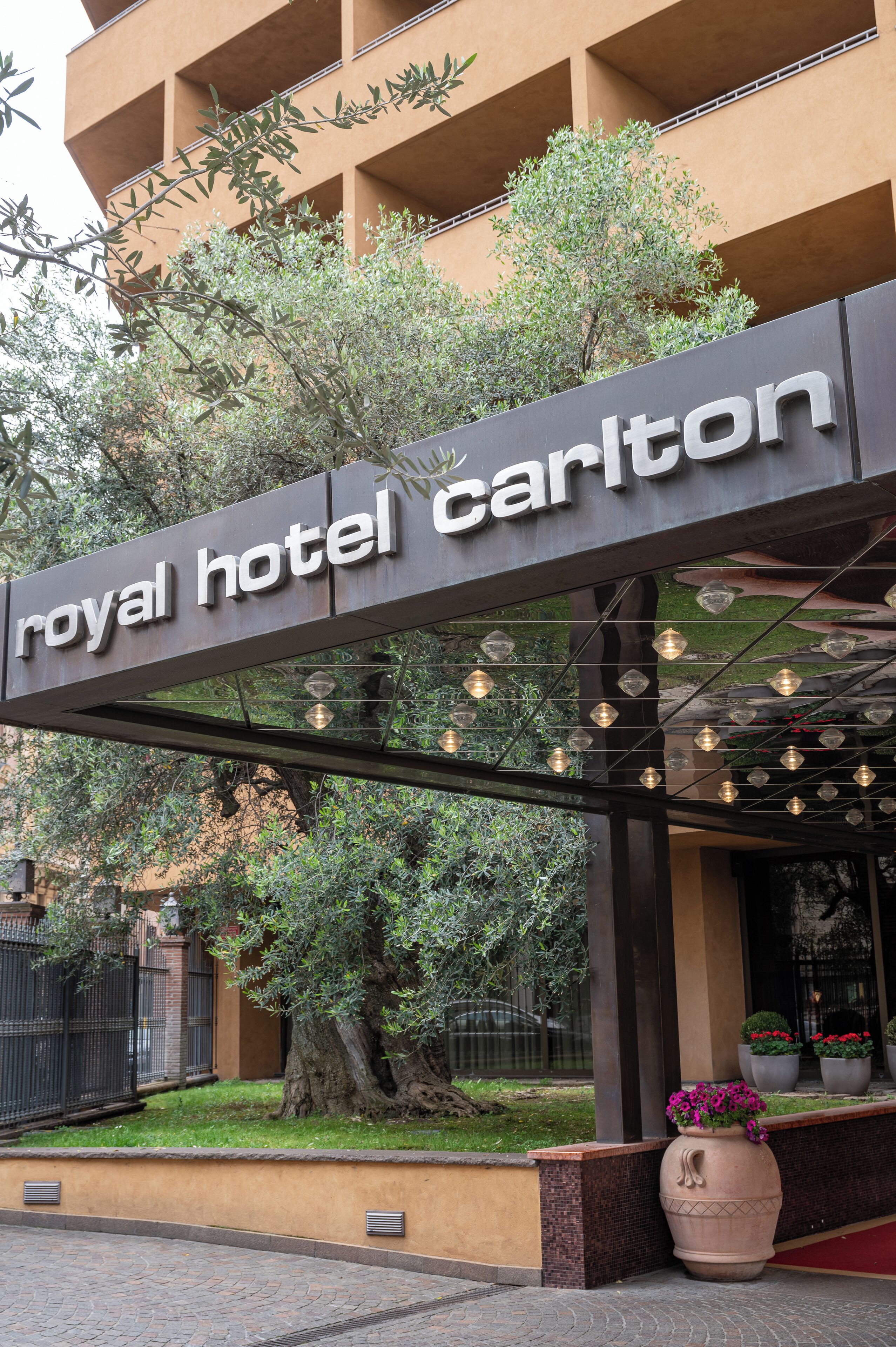 The exterior of the Carlton hotel with a sign, outdoor lighting, and potted plants.