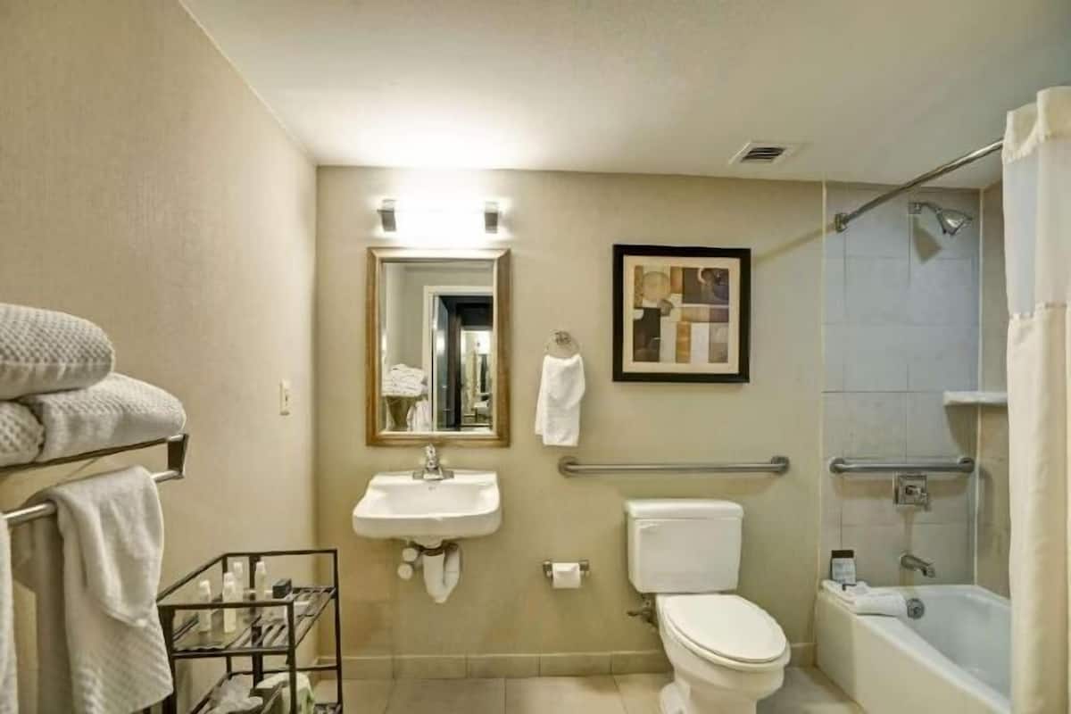 Combined shower/tub, free toiletries, hair dryer, towels