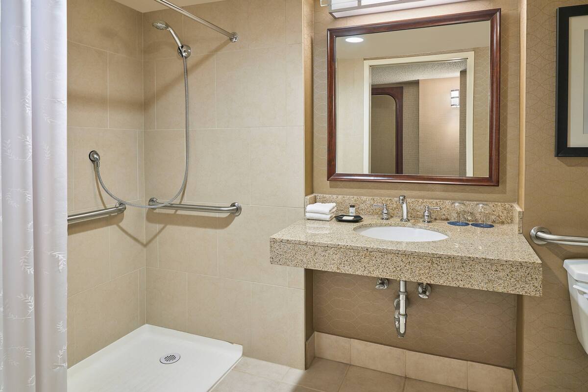 traditional room, 1 king bed, non smoking | bathroom | combined shower/bathtub, free toiletries, hair dryer, towels